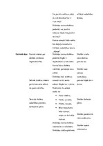 Prakses atskaite 'Integrētā mācību prakse sākumskolā', 5.