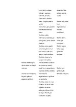 Prakses atskaite 'Integrētā mācību prakse sākumskolā', 6.