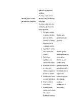 Prakses atskaite 'Integrētā mācību prakse sākumskolā', 7.