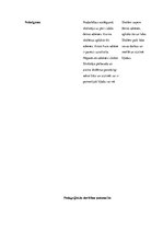 Prakses atskaite 'Integrētā mācību prakse sākumskolā', 9.