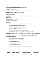 Prakses atskaite 'Integrētā mācību prakse sākumskolā', 11.