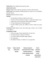 Prakses atskaite 'Integrētā mācību prakse sākumskolā', 16.