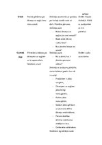 Prakses atskaite 'Integrētā mācību prakse sākumskolā', 17.