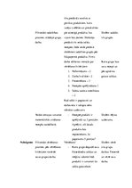 Prakses atskaite 'Integrētā mācību prakse sākumskolā', 18.