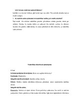 Prakses atskaite 'Integrētā mācību prakse sākumskolā', 20.