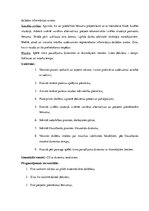 Prakses atskaite 'Integrētā mācību prakse sākumskolā', 21.