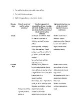 Prakses atskaite 'Integrētā mācību prakse sākumskolā', 22.