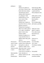 Prakses atskaite 'Integrētā mācību prakse sākumskolā', 23.