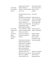 Prakses atskaite 'Integrētā mācību prakse sākumskolā', 24.