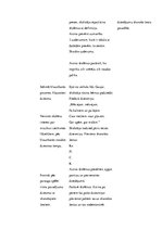 Prakses atskaite 'Integrētā mācību prakse sākumskolā', 25.