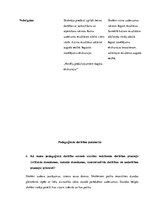 Prakses atskaite 'Integrētā mācību prakse sākumskolā', 26.