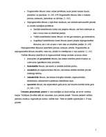 Referāts 'Lēmumu pieņemšana grupās', 2.