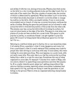 Konspekts 'Less Known Sports', 2.