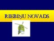 Prezentācija 'Riebiņu novads', 1.