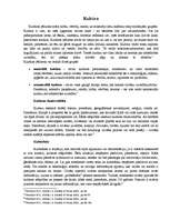 Konspekts 'Kultūra', 1.