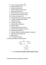 Diplomdarbs 'Firmas SIA "Antaris" pārvadājuma maršruta optimālās shēmas izstrādāšana', 24.
