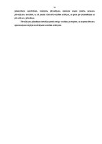 Diplomdarbs 'Firmas SIA "Antaris" pārvadājuma maršruta optimālās shēmas izstrādāšana', 29.