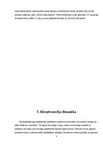 Referāts 'Daži aspekti šosejas riteņbraukšanā', 6.