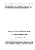 Referāts 'Daži aspekti šosejas riteņbraukšanā', 11.