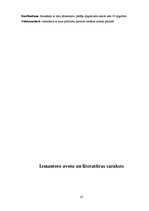 Referāts 'Daži aspekti šosejas riteņbraukšanā', 25.