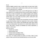 Referāts 'Starptautiskā komunikācija un biznesa ētika', 2.