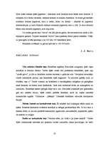 Referāts 'Stereotips par blondīnēm - pastāv vai nē?', 19.