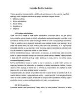 Referāts 'Tiesību funkcijas', 26.