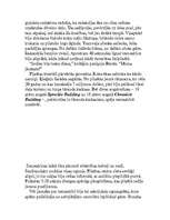 Referāts 'Zemestrīces', 6.