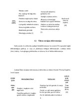Referāts 'Elektroenerģijas ražošanas iespējas Liepājā un tās apkārtnē', 8.