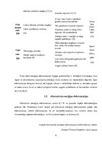 Referāts 'Elektroenerģijas ražošanas iespējas Liepājā un tās apkārtnē', 9.