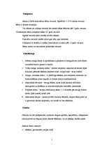 Konspekts 'Bronhiālā astma', 2.