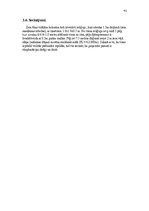 Referāts 'Ģeotehnika - seklo pamatu un pāļu projektēšana', 41.