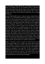 Referāts 'CSDD kampaņas ‘’Laimē ceļojumu uz cietumu vai ievēro ātrumu’’ satura analīze', 2.