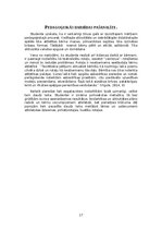 Prakses atskaite 'Pirmsskolas prakses atskaite 1. vecumposms', 17.