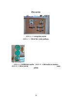 Prakses atskaite 'Pirmsskolas prakses atskaite 1. vecumposms', 18.