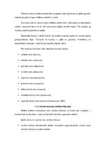 Referāts 'Muskuļu garuma noteikšana Daugavpils skolu 4.klašu zēniem', 7.