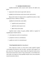 Referāts 'Muskuļu garuma noteikšana Daugavpils skolu 4.klašu zēniem', 13.