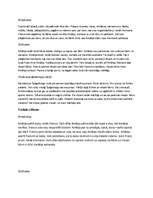 Konspekts 'F.Šillera lugas "Laupītāji" konspekts', 2.