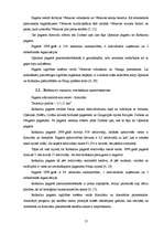 Referāts 'Vārkavas novada izveidošanas sociālekonomiskais vērtējums', 13.