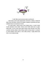 Referāts 'Vārkavas novada izveidošanas sociālekonomiskais vērtējums', 28.