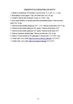 Referāts 'Vārkavas novada izveidošanas sociālekonomiskais vērtējums', 31.