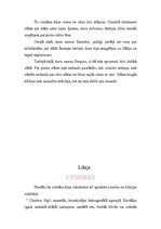 Referāts 'Gundegas Repšes romāns "Sarkans"', 3.