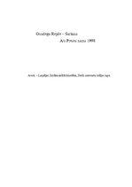 Referāts 'Gundegas Repšes romāns "Sarkans"', 14.