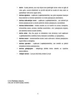 Referāts 'Starptautiskā tūrisma izpēte (1993.-2003.)', 6.