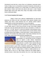 Referāts 'Starptautiskā tūrisma izpēte (1993.-2003.)', 17.