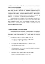 Referāts 'Prasības energoauditiem', 5.