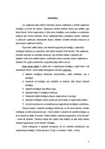 Referāts 'Organizācijas stratēģiju ietekmējošie faktori un atainojums praksē', 3.
