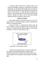 Referāts 'Organizācijas stratēģiju ietekmējošie faktori un atainojums praksē', 16.