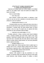 Referāts 'Organizācijas stratēģiju ietekmējošie faktori un atainojums praksē', 21.