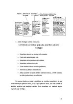 Referāts 'Organizācijas stratēģiju ietekmējošie faktori un atainojums praksē', 23.